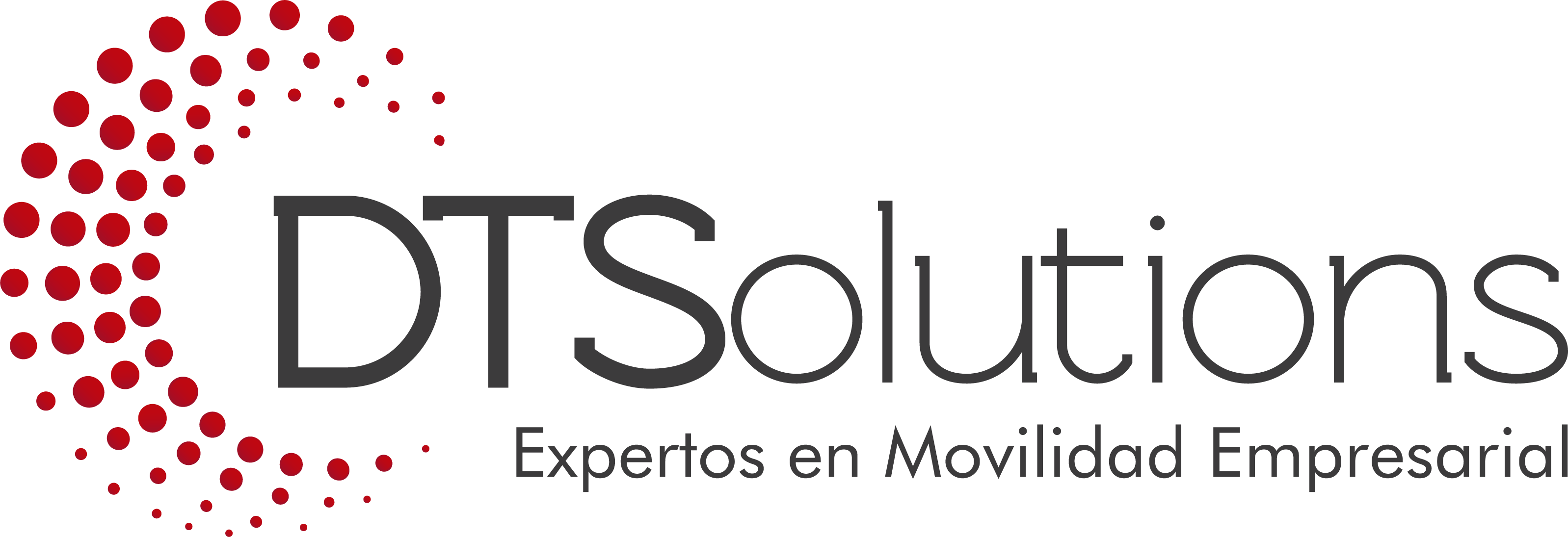 DTSolutions Logo